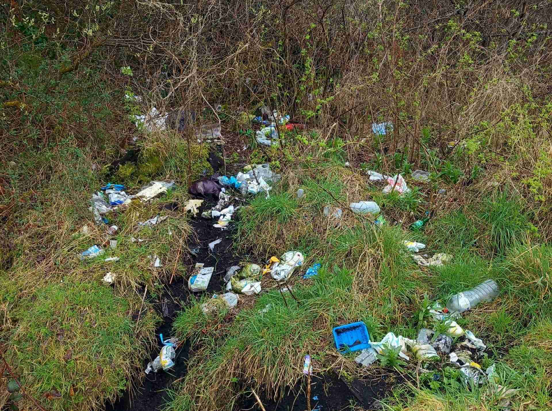 Over €110k for successful anti-dumping initiatives – Roscommon People